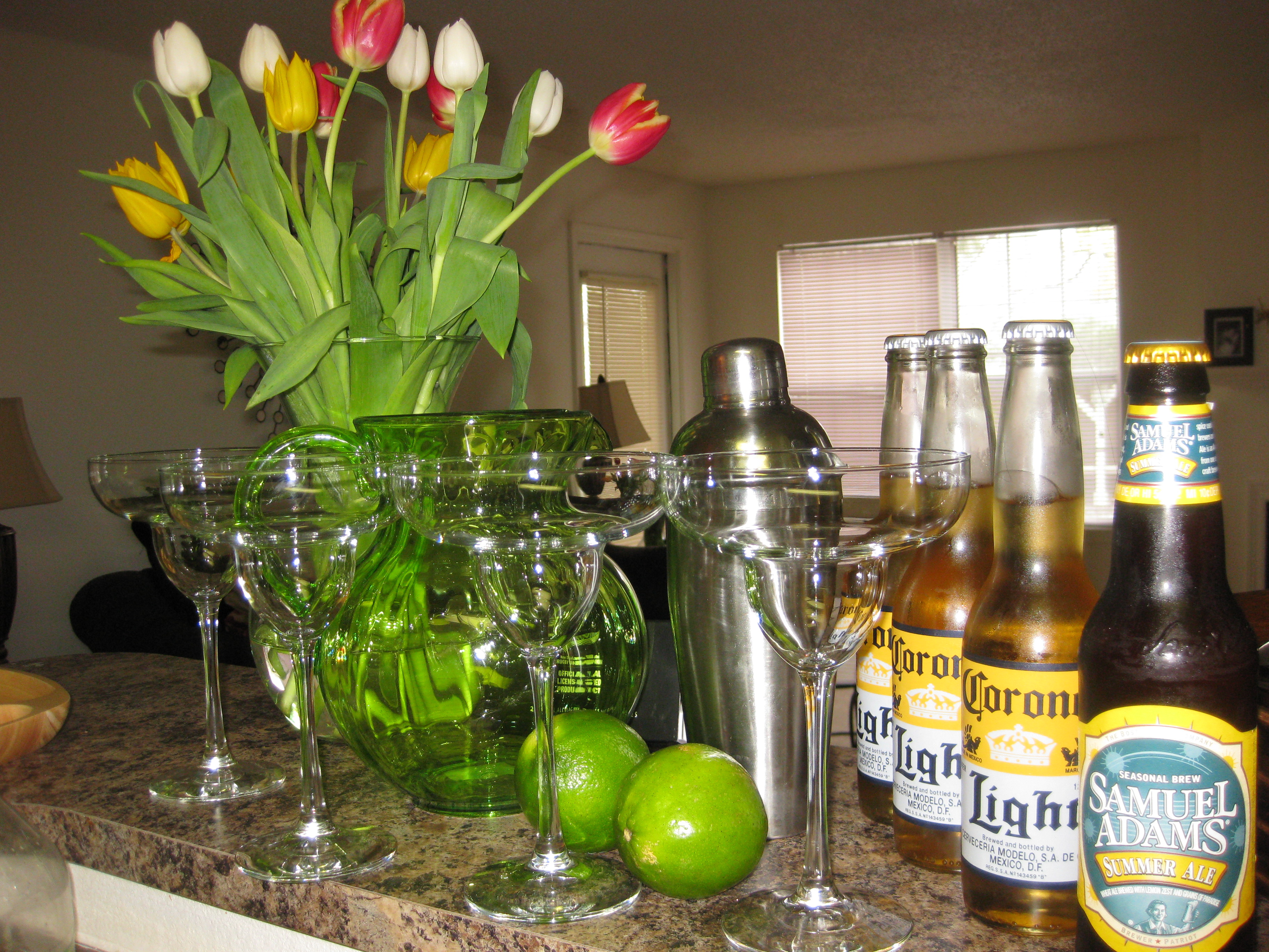 Mexican Dinner Party 2 010 Andie Mitchell