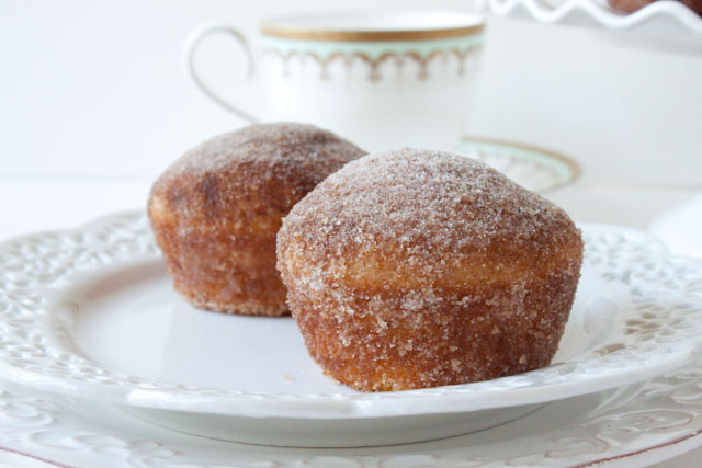 Cinnamon Sugar Crusted Coffee Cake Muffins! 220 per muffin and they taste JUST like an old fashioned donut rolled in cinnamon sugar!