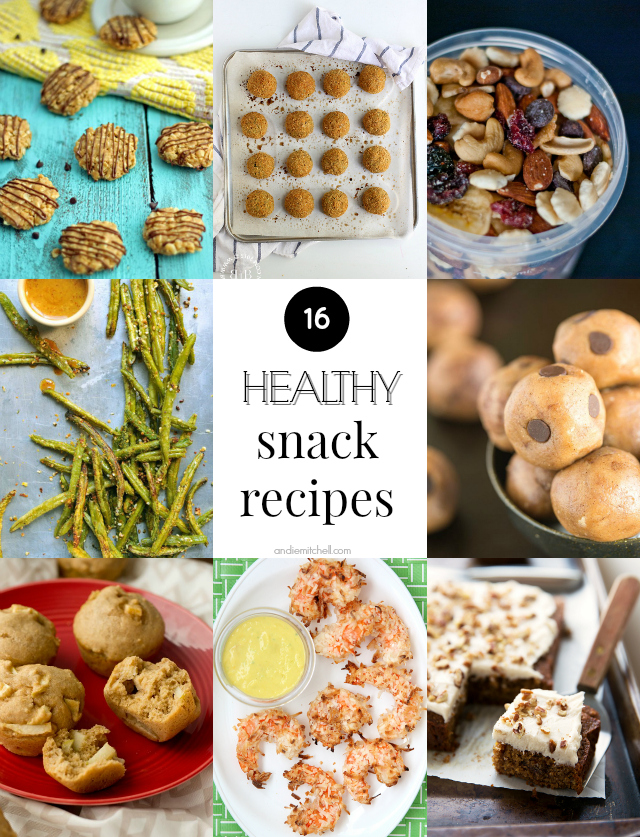 16 Healthy Snack Recipes! (gluten free, dairy free, paleo, and vegan recipe options!)