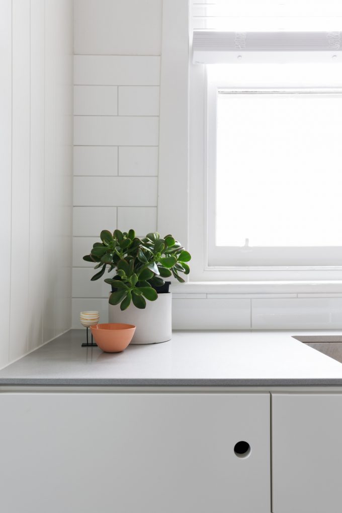 Weekly Coffee Date - kitchen window photo by jodie johnson